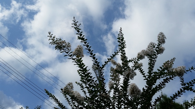 20170806_082759.jpg