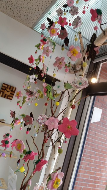 20190323_101059.jpg