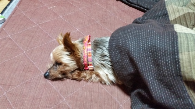 20190518_100049.jpg