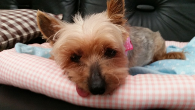 20180829_115321.jpg
