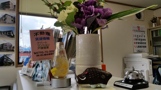 20181227_143646.jpg